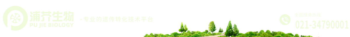 上海浦芥生物技術有限公司